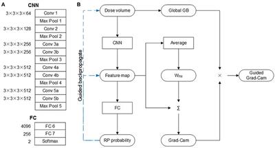 Prediction of Radiation Pneumonitis With Dose Distribution: A Convolutional Neural Network (CNN) Based Model